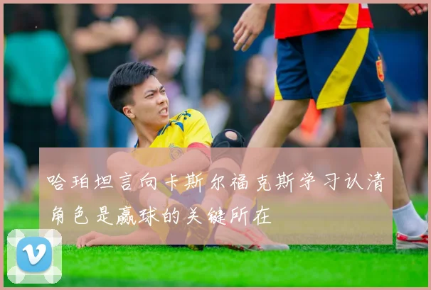 哈珀坦言向卡斯尔福克斯学习认清角色是赢球的关键所在