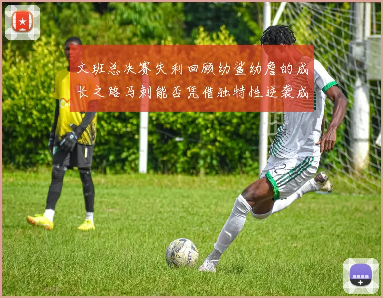 文班总决赛失利回顾幼鲨幼詹的成长之路马刺能否凭借独特性逆袭成功